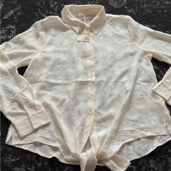 Elegant Cream Button-Up Blouse - Picture 5 of 14